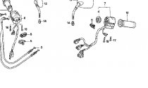 PEPNAE (2)