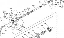 PEDN DIFFERENTIAL