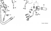 PEPNAE (2)