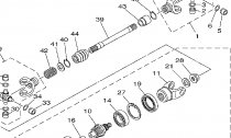 PEDN DIFFERENTIAL