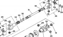 PEDN DIFFERENTIAL