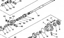 PEDN DIFFERENTIAL