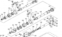 PEDN DIFFERENTIAL