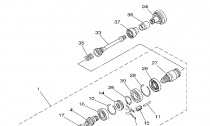 PEDN DIFFERENTIAL