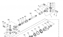 PEDN DIFFERENTIAL