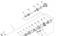 PEDN DIFFERENTIAL