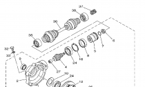 PEDN DIFFERENTIAL