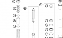 PEDN VIDLICE DISASSEMBLED