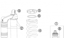 PEDN VIDLICE DISASSEMBLED