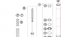 PEDN VIDLICE DISASSEMBLED