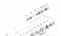 PEDN DIFFERENTIAL