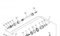 PEDN DIFFERENTIAL