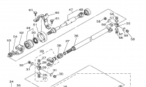 PEDN DIFFERENTIAL