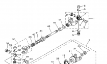 PEDN DIFFERENTIAL