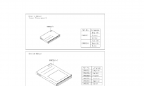 MANUAL - F29