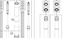 PEDN VIDLICE DISASSEMBLED